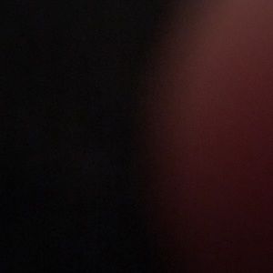 Meet your Posher, Elena